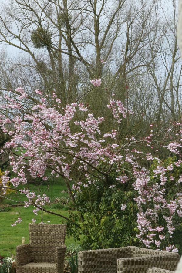 Le Bourgis Bed and Breakfast La Chapelle-Montligeon Εξωτερικό φωτογραφία