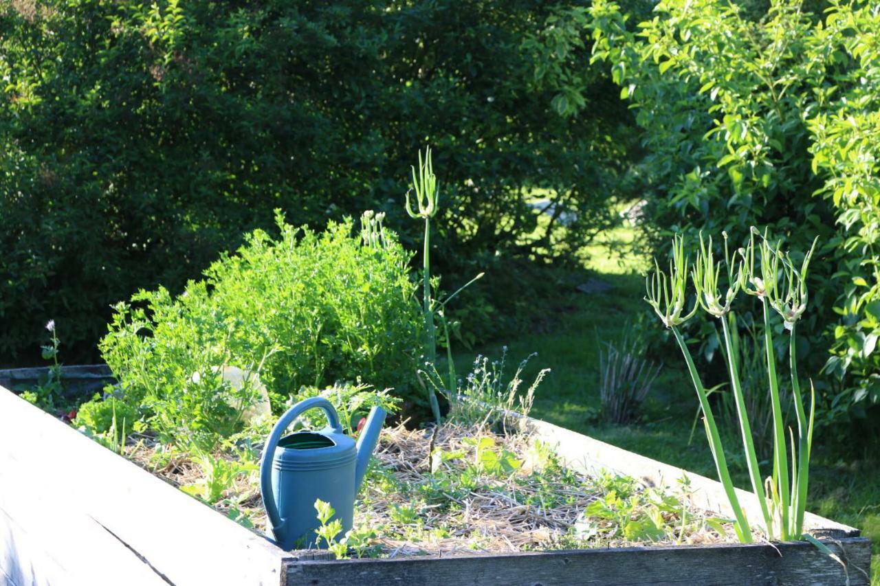 Le Bourgis Bed and Breakfast La Chapelle-Montligeon Εξωτερικό φωτογραφία