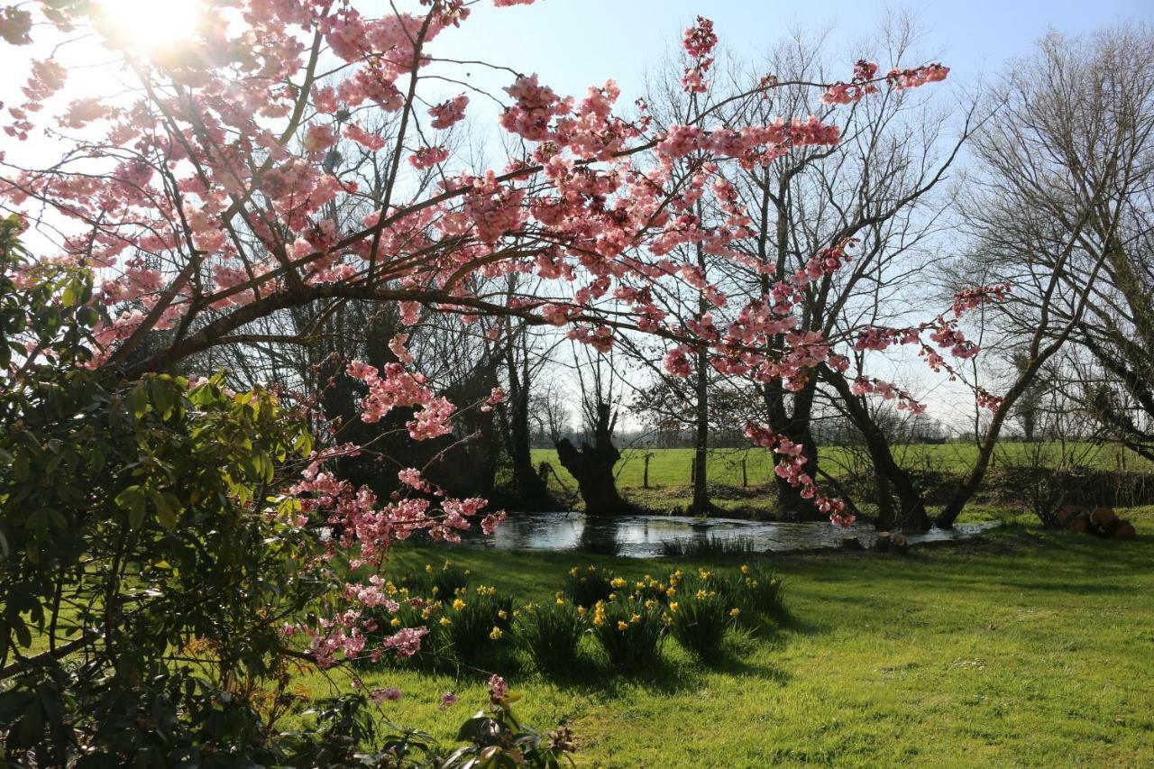 Le Bourgis Bed and Breakfast La Chapelle-Montligeon Εξωτερικό φωτογραφία
